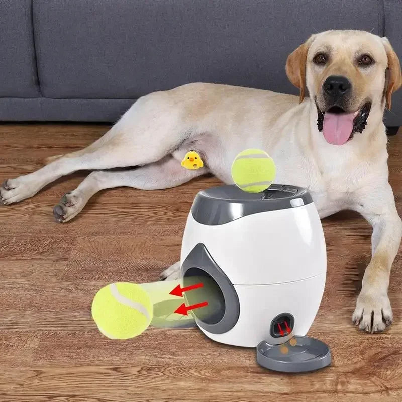PawJoy adagoló csomagolása és tartozékai"