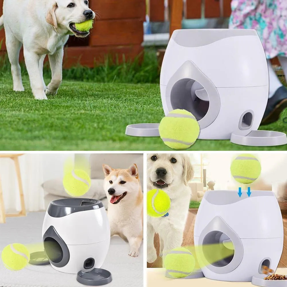 PawJoy játékos adagoló különböző színekben
